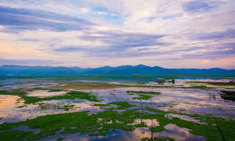 Deepor Beel sits in the heart of the Indian city of Guwahati (Image: Hirakjyoti Bayan CC BY-SA 4.0)