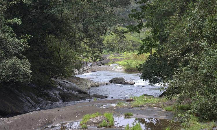 View of a s stream in Kerala (Image Source: Firos AK via Wikimedia Commons)