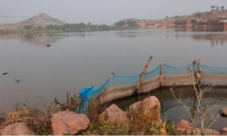 Kishanpura tank, Tikamgarh district, Madhya Pradesh (Image: Strategy document BIWAL)