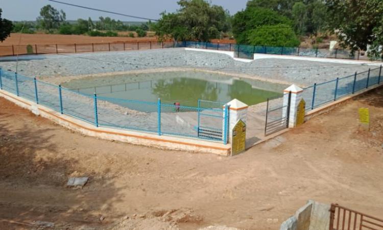 The village pond after the rehabilitation (Image: FES)