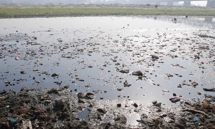 Poisoned waters of the Yamuna (Image Source: India Water Portal)