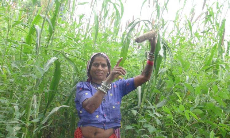 Smallholder farmers are pivotal to transforming the food systems (Image: Mahila Jagat Lihaaz Samiti)