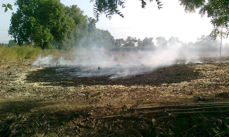 A farmer burning crop residue in his farm to prepare the farm for monsoon crop (Image: Abhiriksh, Wikimedia Commons)