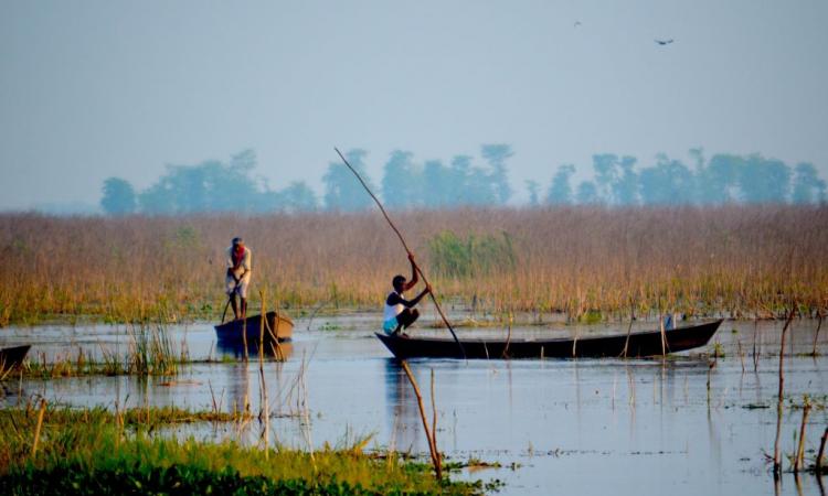 Ramsar Site: Kabartal Wetland (Site no. 2436) - Kabartal Wetland, also known as Kanwar Jheel, covers 2,620 hectares of the Indo-Gangetic plains in the northern Bihar State. The Site is one of 18 wetlands within an extensive floodplain complex; it floods during the monsoon season to a depth of 1.5 metres.  (Image: Credit: Wetlands International South Asia, 2015)