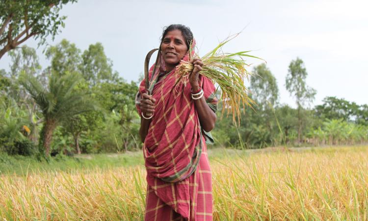 The presence of infrastructure facilities influence crop choice in favour of non-foodgrains (Image: UN Women/Ashutosh Negi)