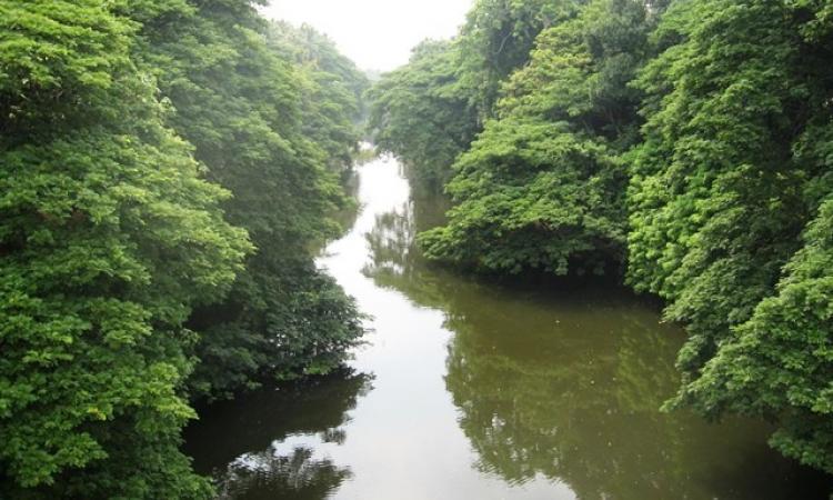 The Karamana river in Thiruvanathapuram, Kerala (Image Source: India Water Portal)