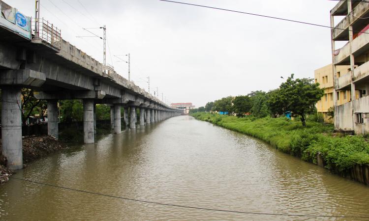 Buckingham canal near Kasturba Nagar, Adyar (Image: India Water Portal)
