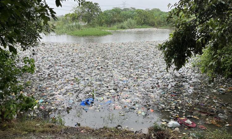 तालाब। फोटो साभार - रामवीर तंवर