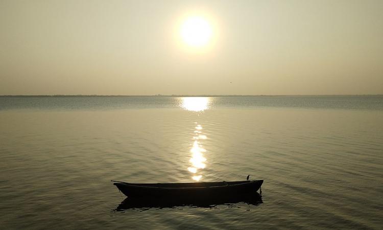 A view of the Veeranam lake in Tamil Nadu (Image Source: Giri9703 via Wikimedia Commons)