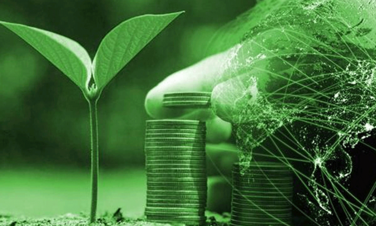 पर्यावरण संरक्षण के लिए सरकार का बड़ा ऐलान (photo-economics times)