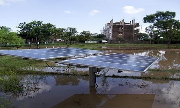 Solar power use in a Tamil Nadu farm (Source: Wikimedia Commons)