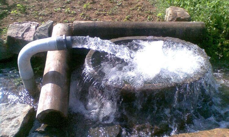 Over exploitation of groundwater is due to wide cultivation of water guzzler paddy and sugarcane crops (Image: Thamizhpparithi Maari, Wikimedia Commons)