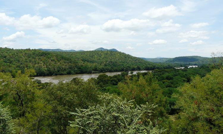 Cauvery river at Karnataka (Image Source: Ashwin Kumar via Wikimedia Commons)
