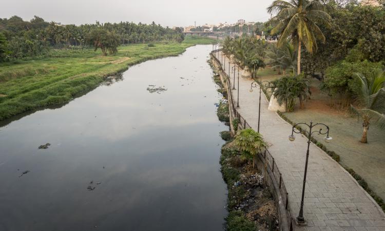 Musi is polluted due to municipal sewage and industrial wastewater (Image: Muhammed Mubashir, Wikimedia Commons)