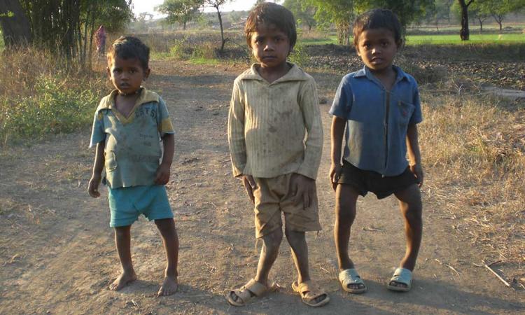 बिहार में भूगर्भीय जल संदूषण से पशुओं में फ्लोरोसिस से कुप्रभाव एवं बचाव के उपाय,pc-Fluoride Action Network