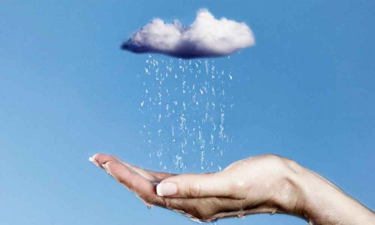 पर्यावरण संरक्षण : विविध आयाम, PC-Hans India