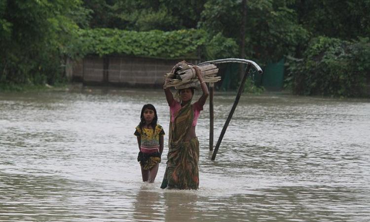 A woman wades through knee-deep water with her belongings. (Picture courtesy - 101Reporters) (Source: IWP Flickr photos)