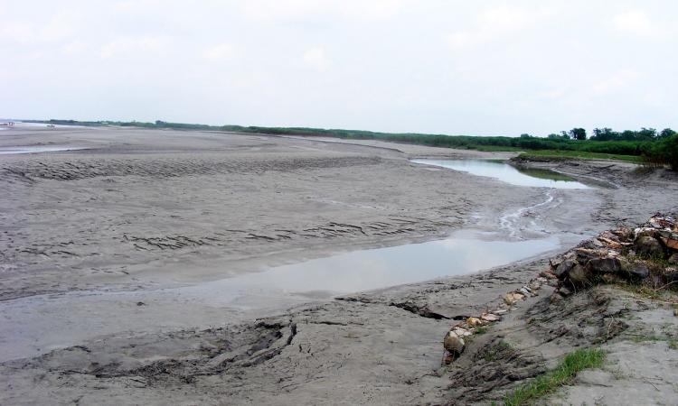 Silt deposition at Kosi embankment at Navbhata near SaharsaBihar, India, in the Kosi River Basin (Image Source: CC BY 3.0 via Wikipedia)