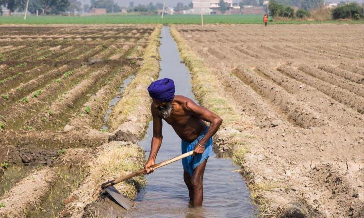 शारदा सहायक कमांड क्षेत्र में अधिकतम धान के उत्पादन एवं जल उत्पादकता हेतु जल प्रबंधन तकनीक,Pc-The Third Pole