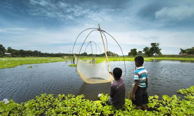 In 2016, a Standing Committee of Parliament pointed to the need to carry out a separate census of water bodies. (Image: Needpix)