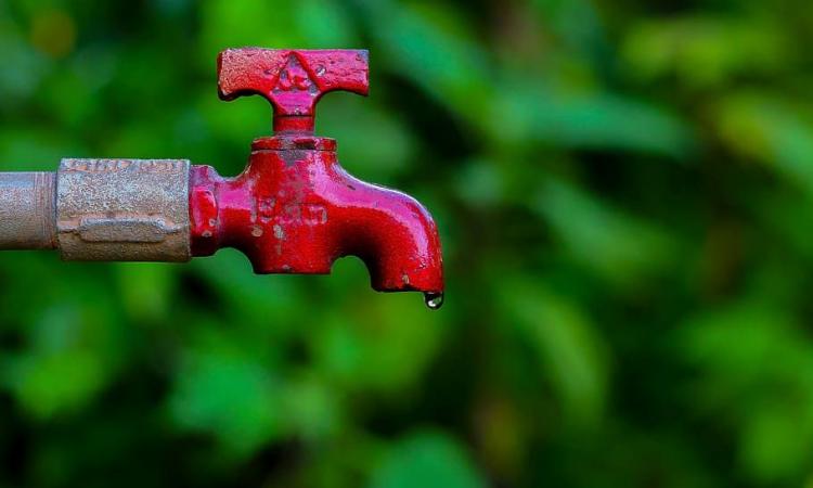 Assam intends to reach intends to reach 100% coverage of FHTCs shortly (Image: Wallpaper Flare; Creative Commons)