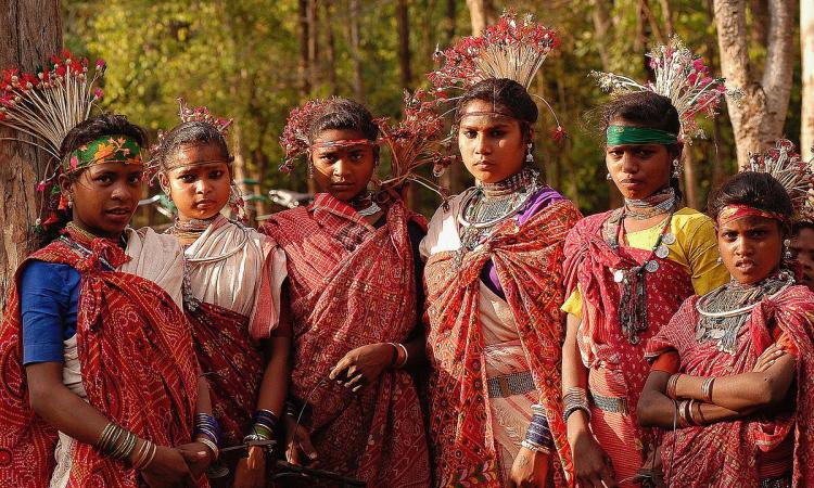 The conclave highlighted the challenges and instances of marginalization that exist due to factors such as land dispossession, forced displacement, lack of access to education, healthcare, and basic amenities, and limited representation in decision-making processes. (Image: Simon Williams/Ekta Parishad; Wikimedia Commons)