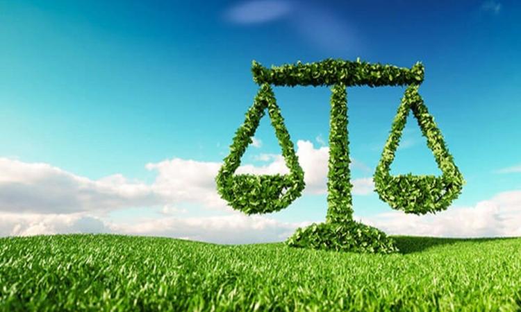 Indian environmental jurisprudence has been significantly shaped by a series of landmark judgments (Image: Carbon Herald)