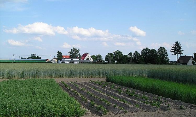 जलवायु अनुकूल खेती,फोटो क्रेडिट-विकिपीडिया