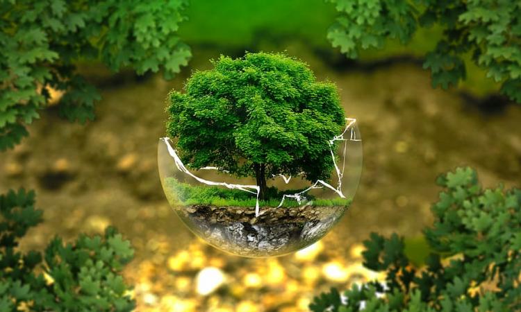 India has rigorous environmental, social, and governance (ESG) disclosure norms (Image: WallpaperFlare)