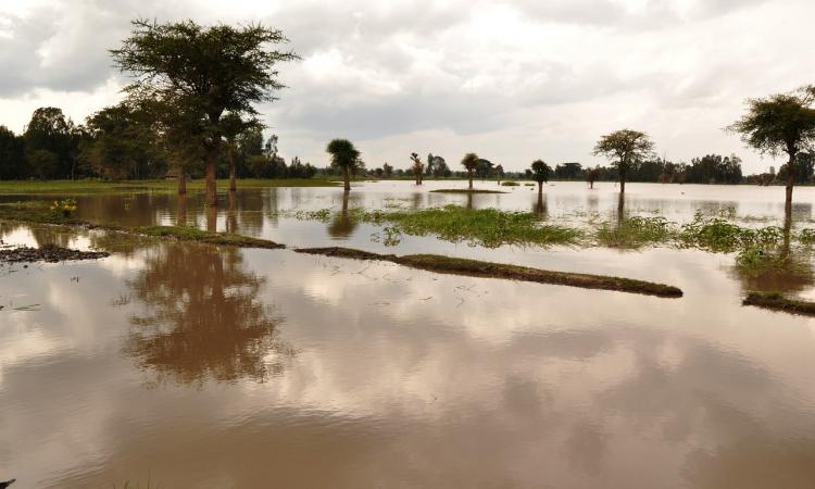 Previously drought-prone areas are now facing floods (Image: Needpix)