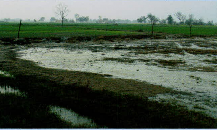 दक्षिण-पश्चिमी पंजाब में लवणीकरण एक गंभीर समस्या,Pc-जल चेतना
