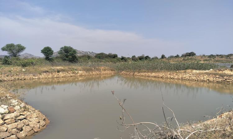 Cattle pond in the village (Image: FES)