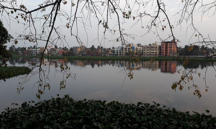 Santragachi Lake, beside Santragachi rail station at Santragachi, Howrah district, West Bengal (Image Source: Pinakpani via Wikimedia Commons)