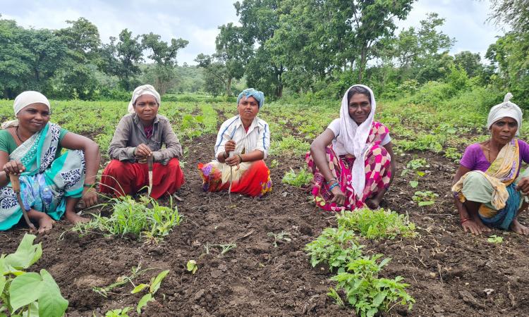 Women from the Mahila Gram Sangh (Image: FES)