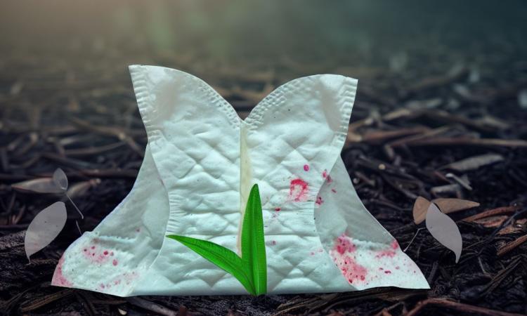पर्यावरण के दुश्मन सैनेटरी पैडस