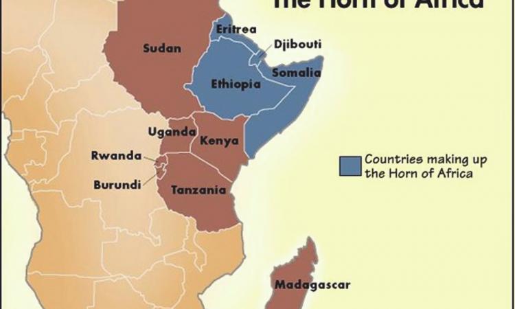 अभूतपूर्व सूखे का सामना कर रहा है हॉर्न ऑफ अफ्रीका,Pc- सर्वोदय जगत
