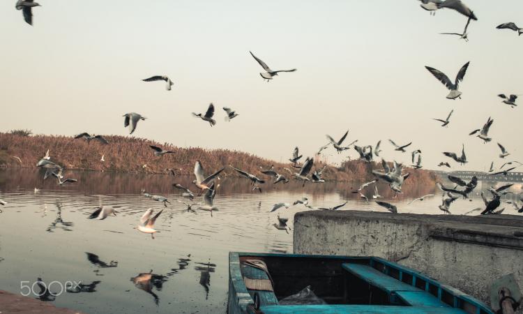 River Yamuna in Delhi (Image: Mirza, Wikimedia Commons, CC BY-SA 3.0 DEED)