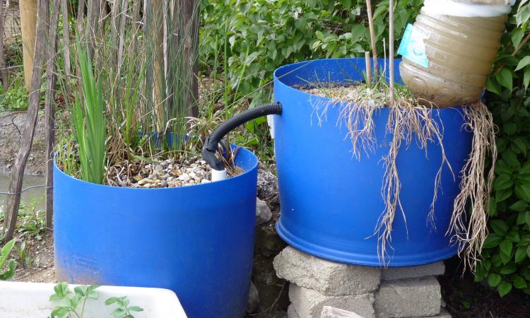 Greywater filtration (Image: Karen Blakeman; Flickr Commons - CC0 1.0 Universal)