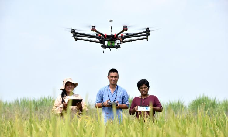 Investment in upstream innovations in Asia-Pacific region – those for the farm and primary production of novel foods – increased 24% year-over-year (Image: CIAT/Neil Palmer)