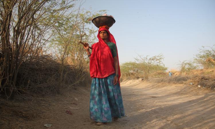 Women as trailblazers: Resilience, transformation, and breaking barriers on dual fronts (Image: ILRI/Mann; CC BY-NC-ND 2.0 DEED)