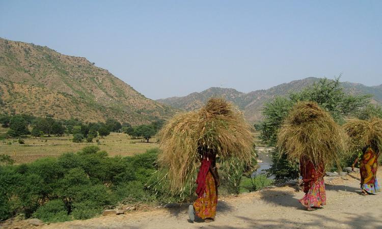 Sanitation access among women is a fundamental human right  (Image Source: surrealpenguin via Wikimedia Commons)