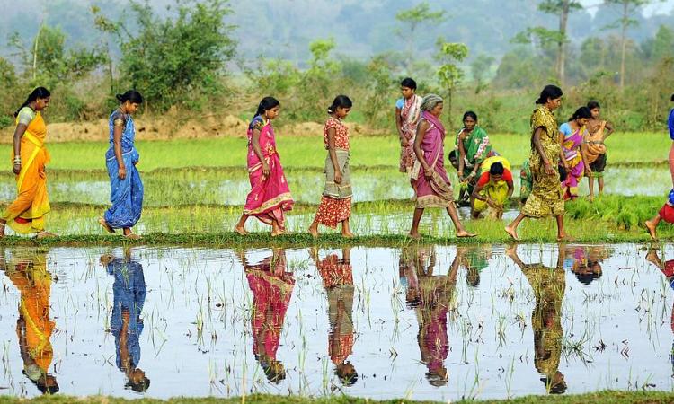 Rural women in Odisha (Image Source: Trocaire from Ireland via Wikimedia Commons)