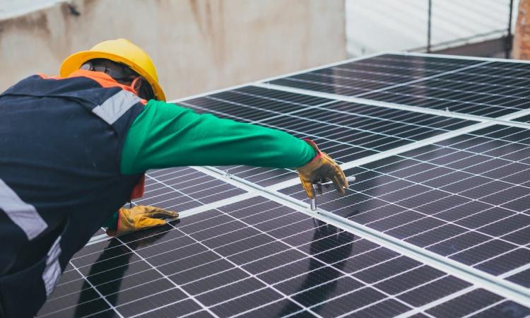 Jobs for a greener tomorrow (Image: Los Muertos Crew; Pexels)