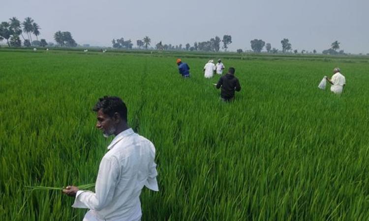 There are challenges in educating farmers about sustainable practices