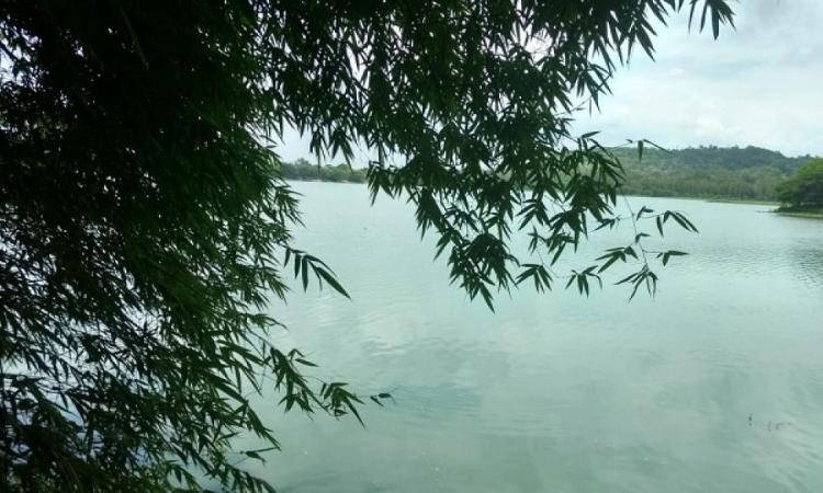 Pashan Lake in Pune (Image Source: India Water Portal)