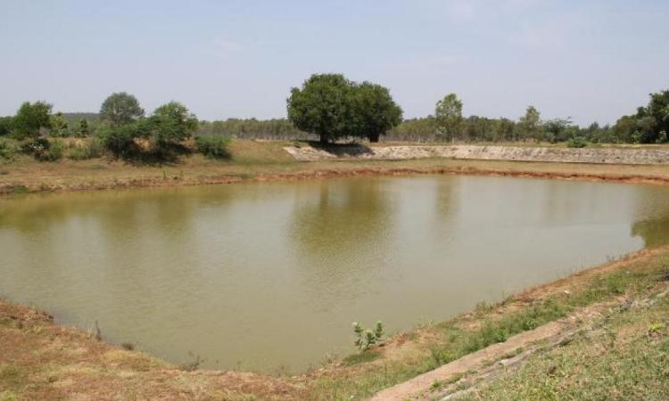 Traditional irrigation tanks of South India. Image for representation purposes only (Image Source: India Water Portal)