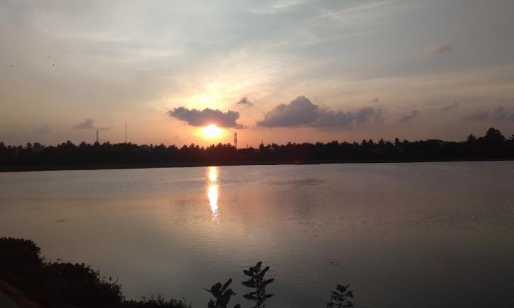 Chitlapakkam lake, Chennai (Image: Destination Infinity, Wikimedia Commons)