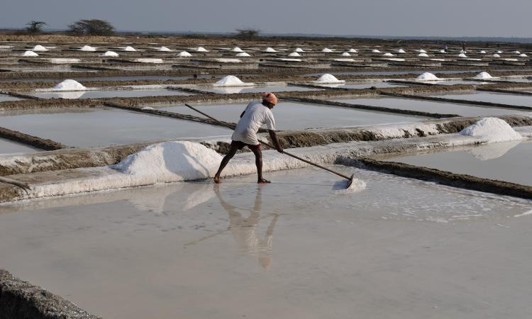 Salt pans of Marakkanam (Image Source: Wikimedia Commons)