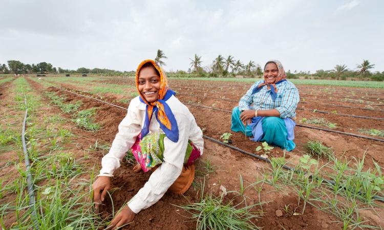 Women working in the field in India (Image: IWMI Flickr/Hamish John Appleby; CC BY-NC-ND 2.0 DEED)