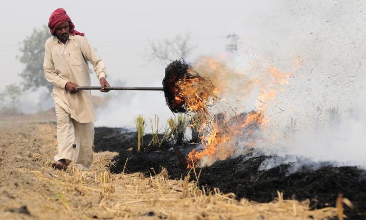 Burning of rice residues after harvest, to quickly prepare the land for wheat planting, around Sangrur, Punjab (Image: 2011CIAT/NeilPalmer; CC BY-SA 2.0 DEED)